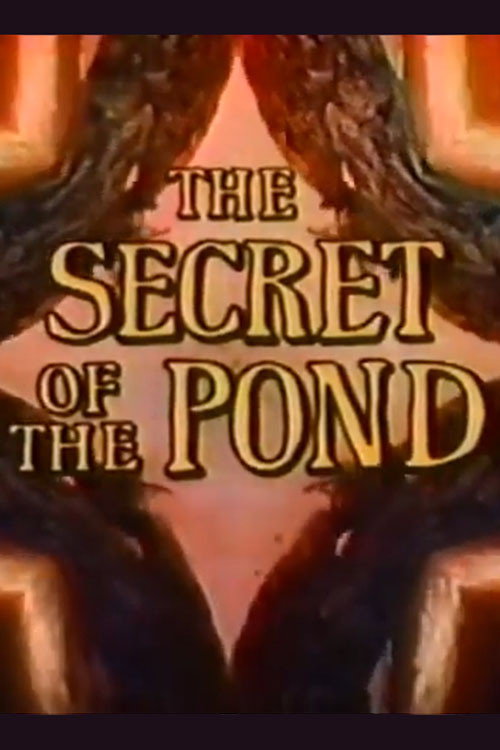 Movie poster for The Secret of the Pond (1975)