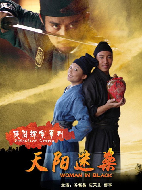 Movie poster for 侠侣探案之天阳迷案 (2007)