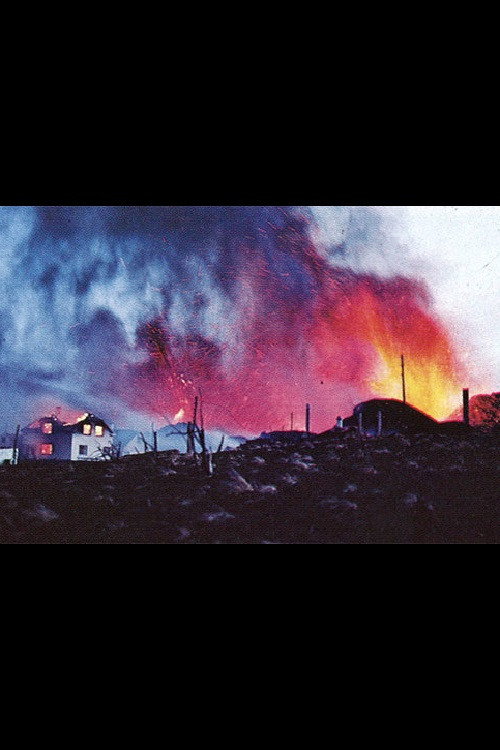 Movie poster for Days of Destruction (1973)