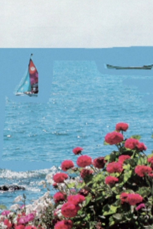 Movie poster for At The Shore
