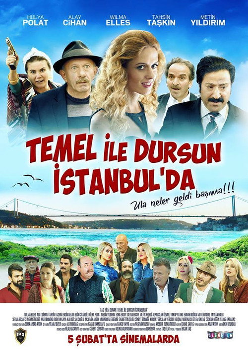 Movie poster for Temel ile Dursun İstanbul'da (2016)