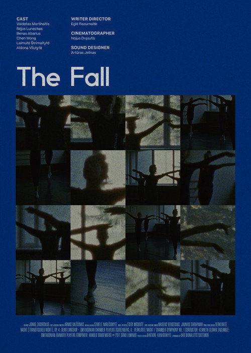 Movie poster for The Fall (2023)