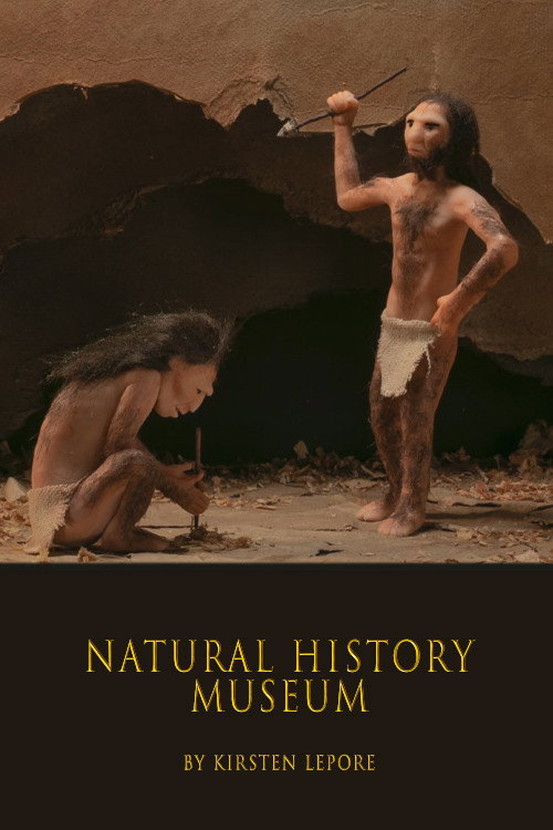 Movie poster for Natural History Museum (2019)