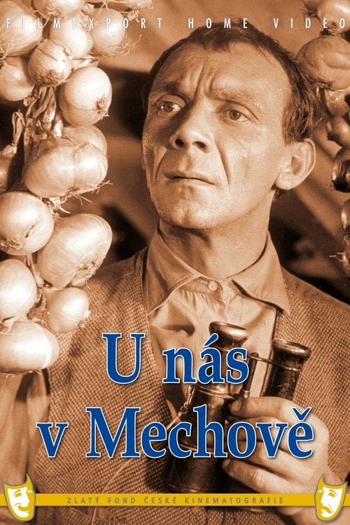 Movie poster for U nás v Mechově (1960)