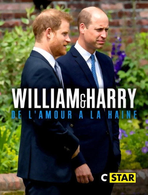 Movie poster for William et Harry : de l'amour à la haine (2023)