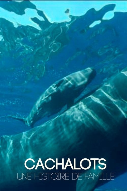 Movie poster for Cachalots, une histoire de famille (2021)