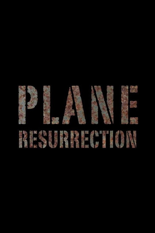 Series poster for Plane Resurrection (2016)