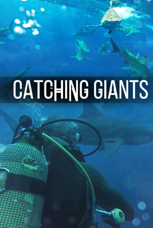 Movie poster for Catching Giants: Zambezi Shark (2010)