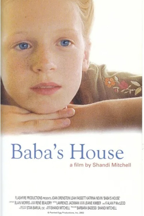 Movie poster for Baba's House (2002)