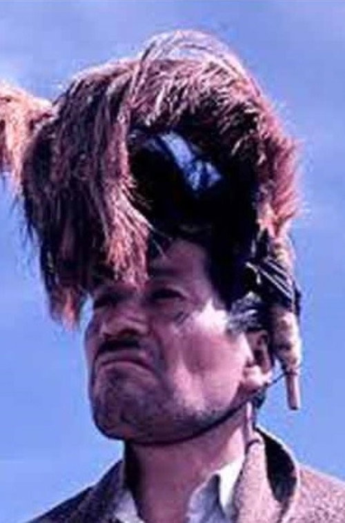 Movie poster for Mapuche