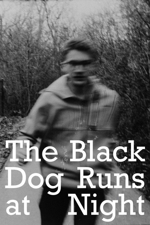 Movie poster for The Black Dog Runs At Night (2025)