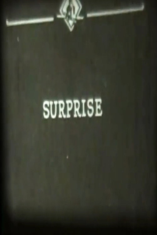 Movie poster for Surprise (1923)