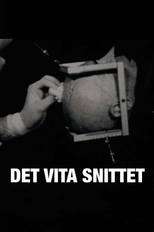 Movie poster for Det vita snittet (2010)
