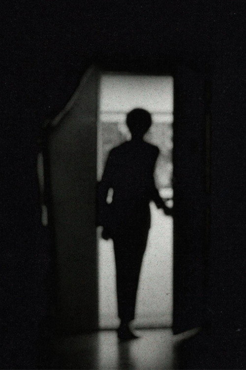Movie poster for Good Evening, Mr. Nightshade (2022)