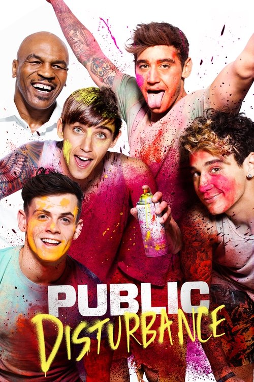 Movie poster for Public Disturbance (2018)