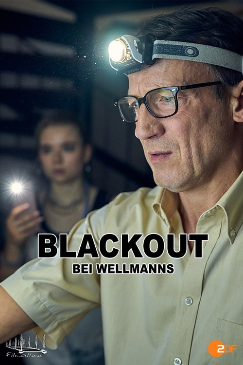 Movie poster for Blackout bei Wellmanns (2024)