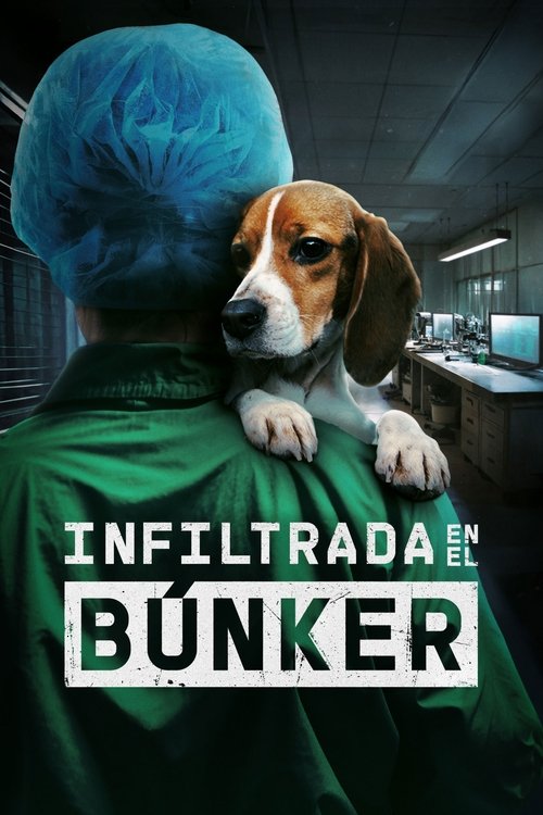 Movie poster for Undercover. Inside the Bunker (2025)