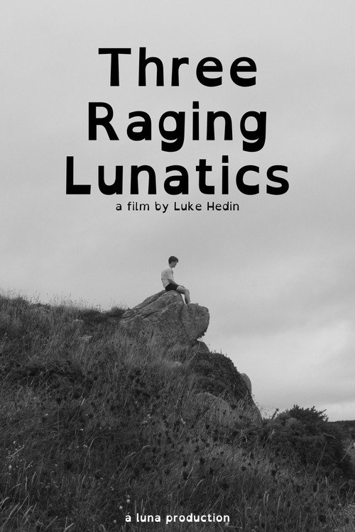 Movie poster for Three Raging Lunatics (2026)