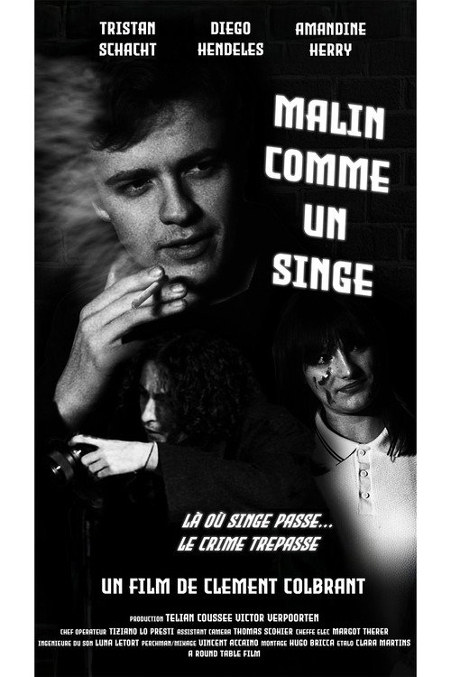 Movie poster for Malin comme un singe (2024)