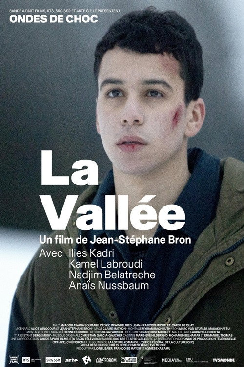 Movie poster for La Vallée (2018)
