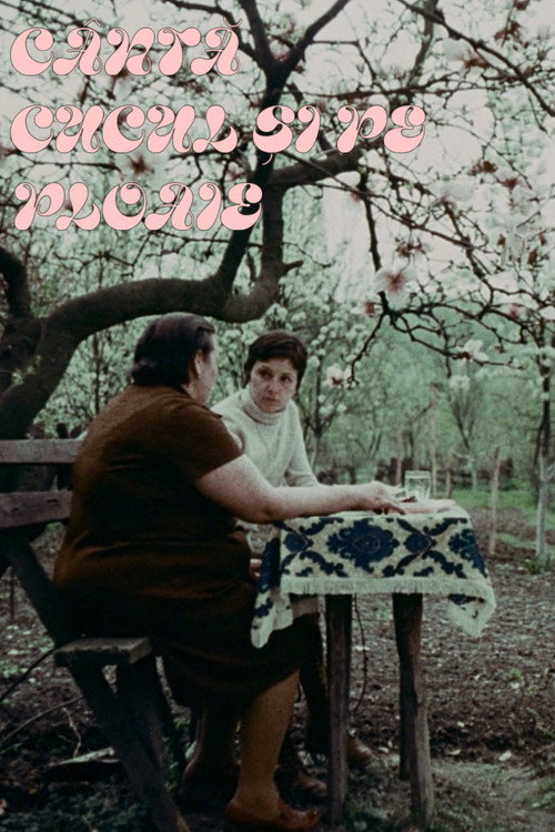 Movie poster for The Cuckoo Still Sings When It Rains (1978)