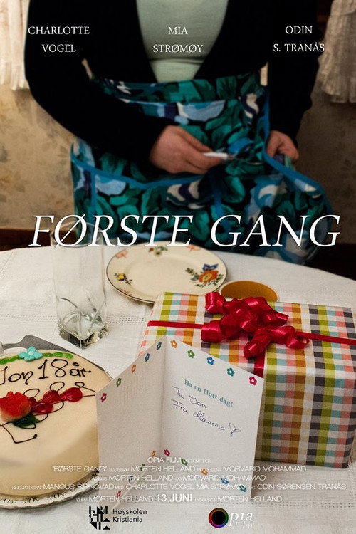 Movie poster for The First Time (2017)