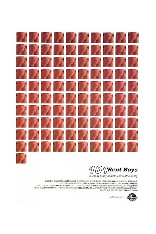 Movie poster for 101 Rent Boys (2000)
