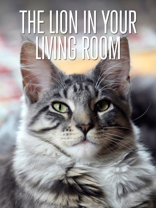 Movie poster for The Lion In Your Living Room (2015)