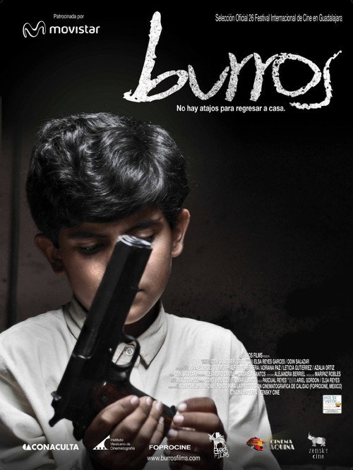 Movie poster for Burros (2011)