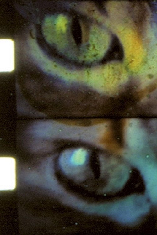 Movie poster for Wild Eye (1998)