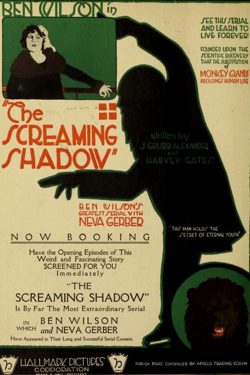 Movie poster for The Screaming Shadow (1920)