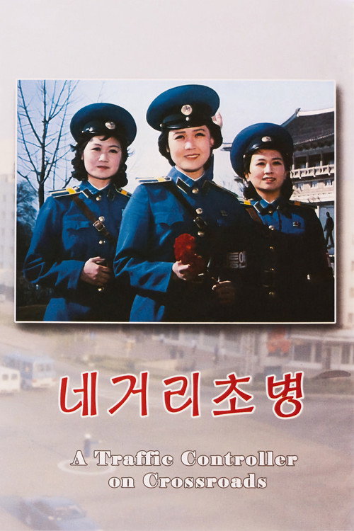 Movie poster for A Traffic Controller on Crossroads (1986)