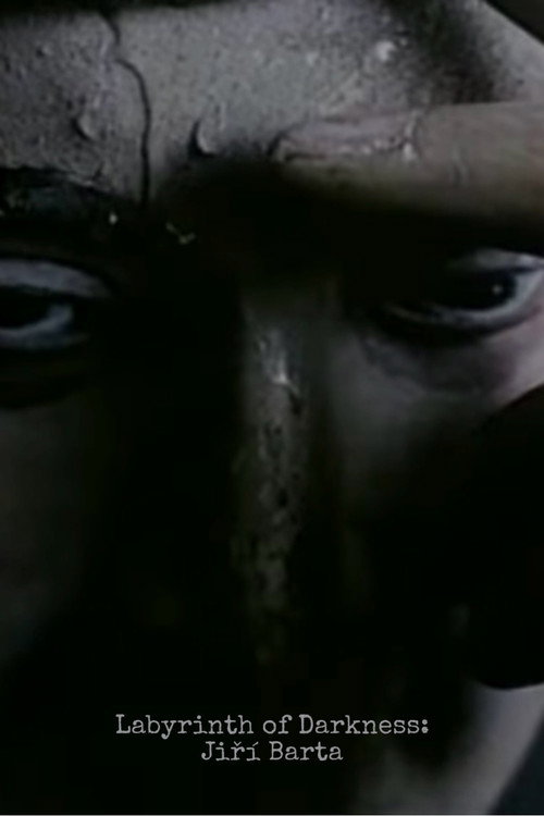 Labyrinth of Darkness: Jiri Barta poster