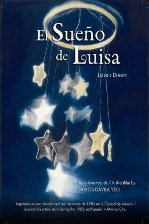 Movie poster for Luisa's Dream (2009)