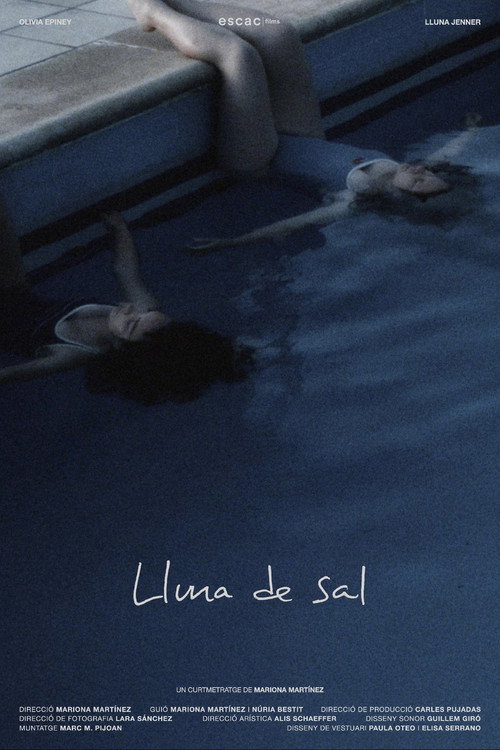 Movie poster for Lluna de Sal