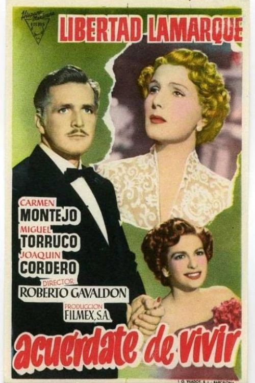 Movie poster for Remember to Live (1953)