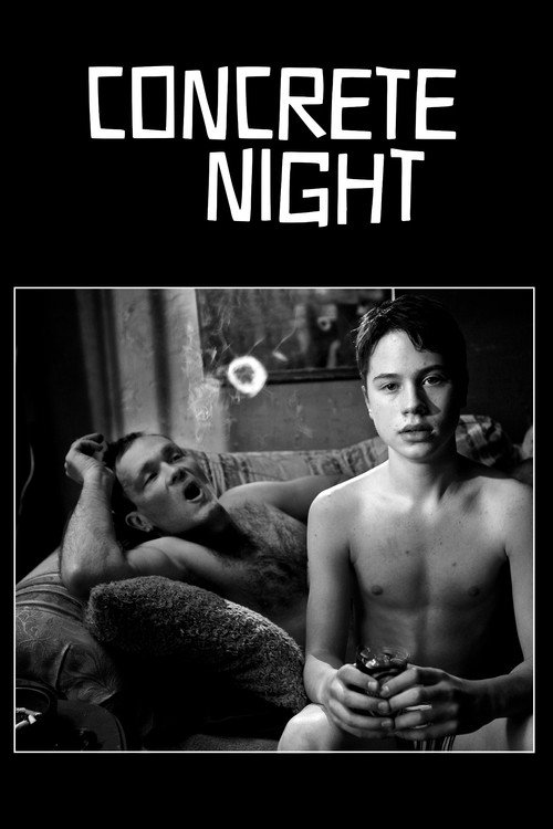 Movie poster for Concrete Night (2013)