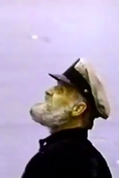 Movie poster for The Not So Lonely Lighthouse Keeper (1967)