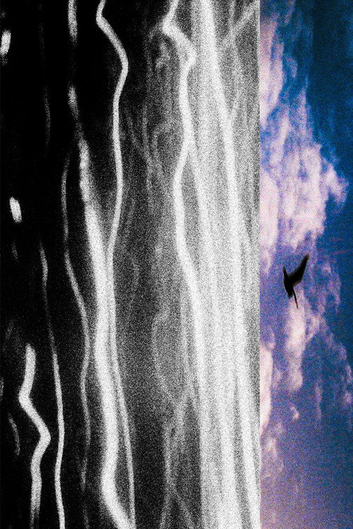Movie poster for City with Dreams of the Sea (2024)