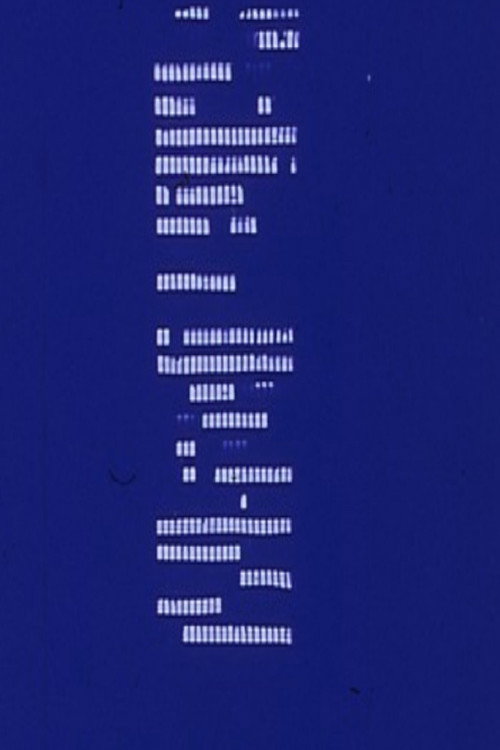 Movie poster for For Georgia O'Keeffe (1976)