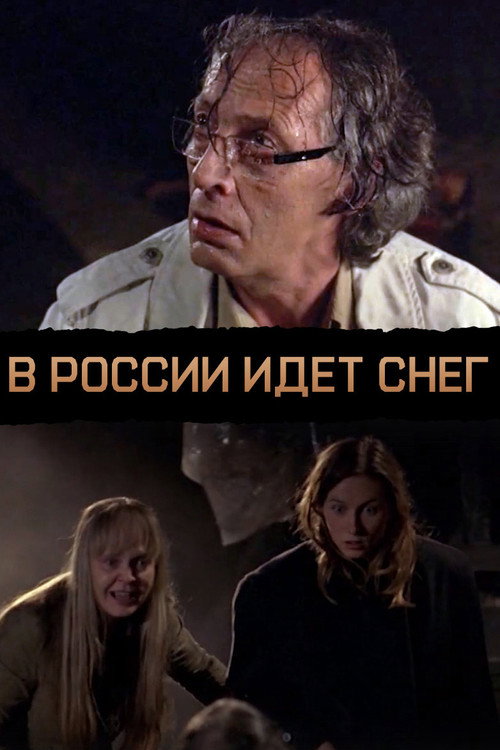 Movie poster for The snow is falling in Russia (2010)
