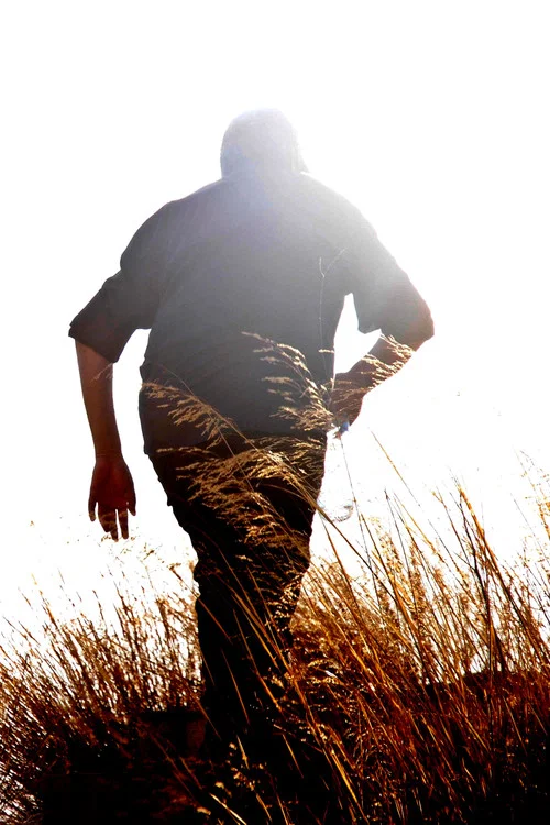 Movie poster for The Second Man (2013)
