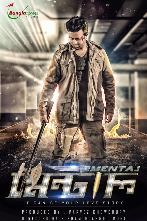 Movie poster for The Mental (2016)