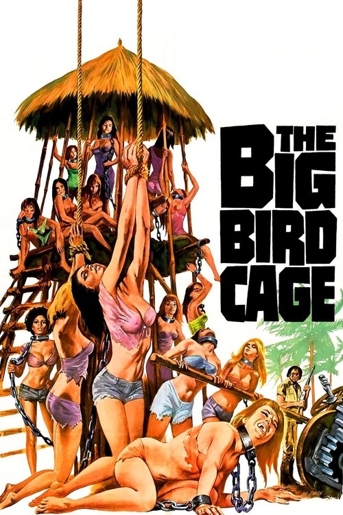 Movie poster for The Big Bird Cage (1972)