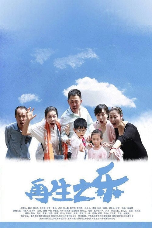 Movie poster for Joy of Second Child (2016)