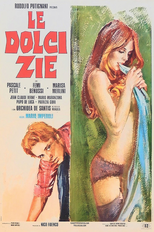 Movie poster for The Sweet Aunts (1975)