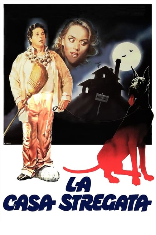 Movie poster for The Haunted House (1982)