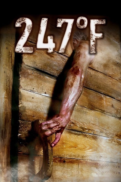 Movie poster for 247°F (2011)