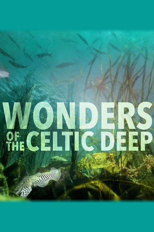 Wonders of the Celtic Deep poster