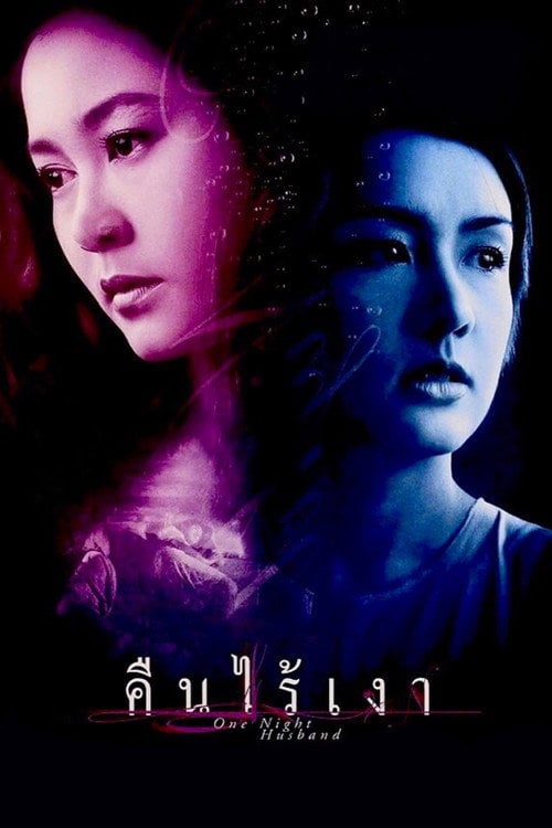 Movie poster for One Night Husband (2003)